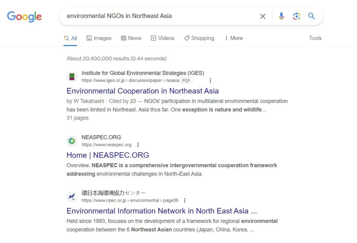 SERP result for keyword "environmental NGO in southeast asia"