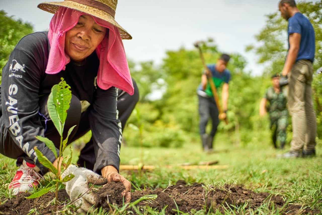 SEO for NGO can help you grow your organization and help your cause reach the right audience