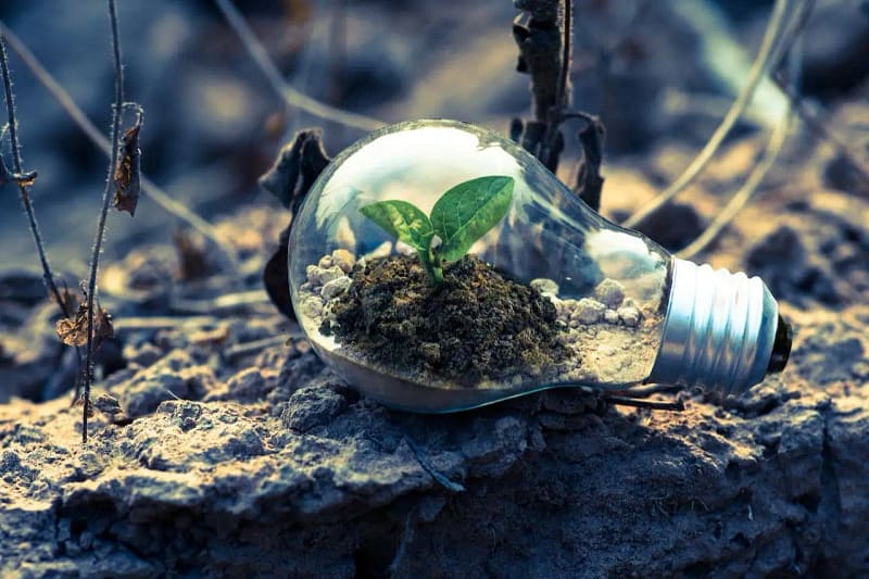 Lightbulb with a plant sprout as methaporical green startup idea generator